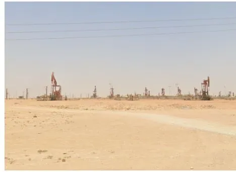 ¿En qué país se ven estas bombas de petróleo?
