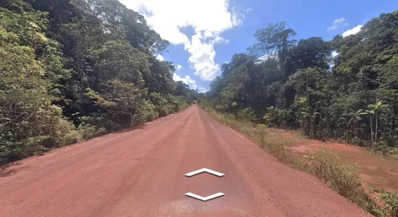 ¿En qué país se encuentra esta carretera, marcada por un desenfoque de cámara y palmeras areca?