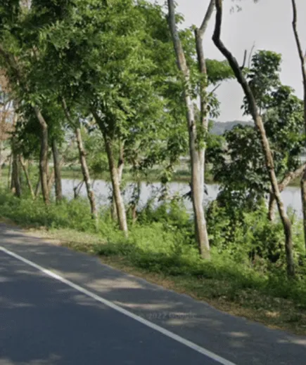 ¿En qué país se ve este tipo de paisaje junto a la carretera?
