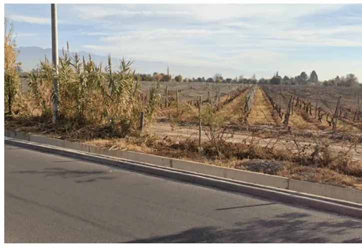 ¿En qué país se ve este viñedo?