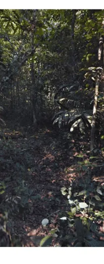 ¿En qué país se ve esta cobertura trekker que combina barcos y caminatas por selva densa?