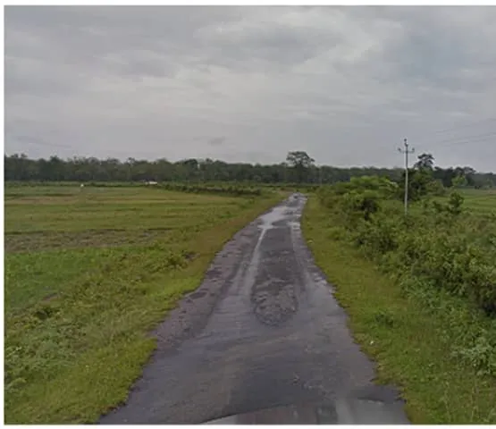 ¿En qué país se ve esta carretera llana de tierras bajas?
