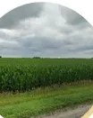 ¿En qué país se ven estos campos de cultivo?