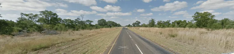¿En qué país esta carretera muestra una vegetación inusualmente exuberante, con árboles más frondosos y pasto más alto cuanto más al norte se va?