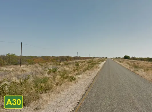¿En qué país se ve esta carretera bordeada de hileras rectas de árboles de hojas anaranjadas y pasto alto?