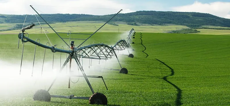 ¿En qué país se ven estos campos circulares de cultivo, creados por máquinas de riego por pivote central?