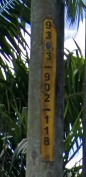 ¿En qué país se ven estos códigos amarillos de poste, altos y de diez dígitos?